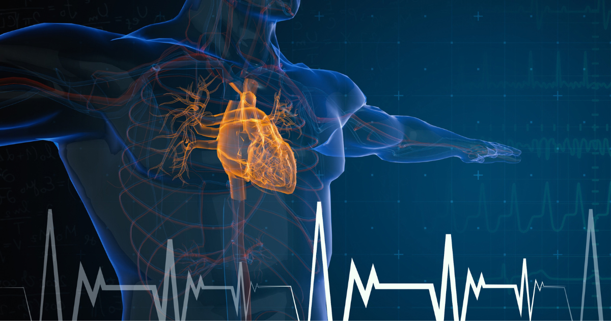 A New Lens on Heart Disease Detection